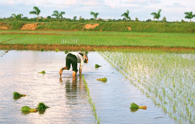 Những hình ảnh về quê hương Nam Định đẹp nhất...