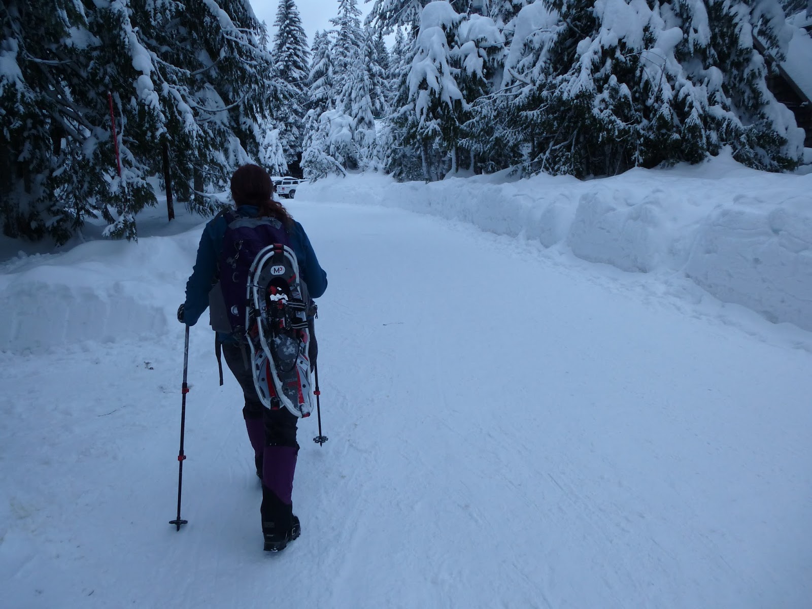 Hiking Oregon Government Camp Snowshoe "Crosstown Trail"