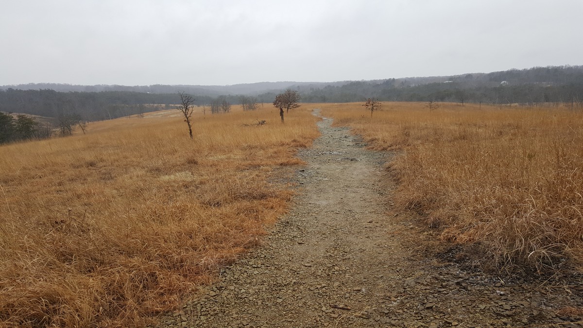 Harriman Hiker Harriman State Park and Beyond Soliders Delight