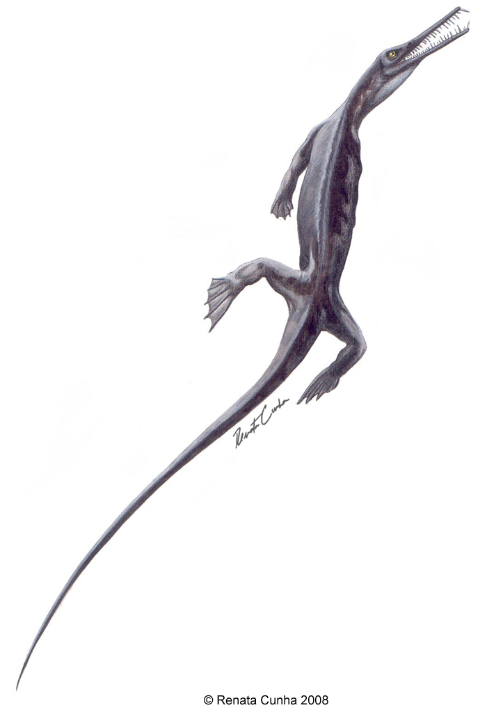 'Mesosaurus' - Brazilian PaleoArt