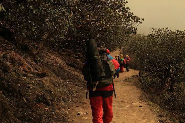 While trekking from Tshoka to Dzongri While trekking from Tshoka to Dzongri
