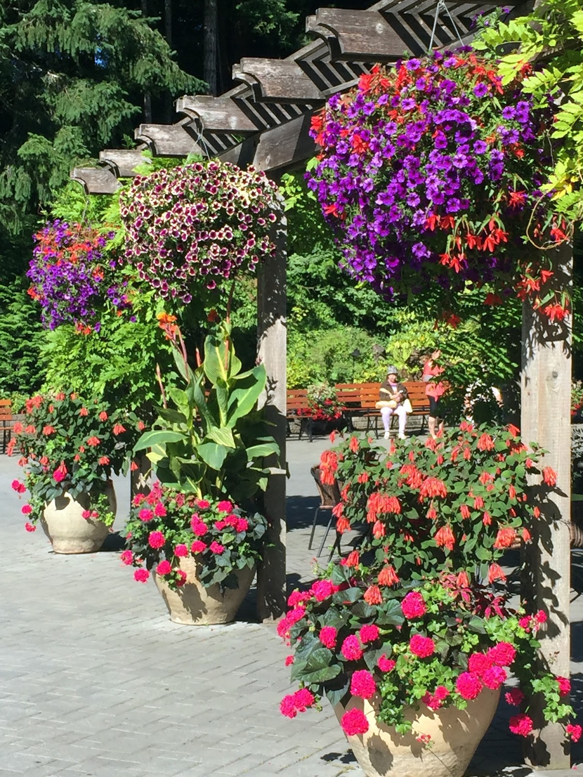Rosemary’s Sampler: The Butchart Gardens, Vancouver Island