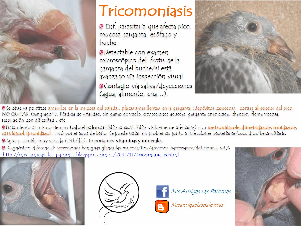 cuales son los primeros sintomas de la tricomoniasis