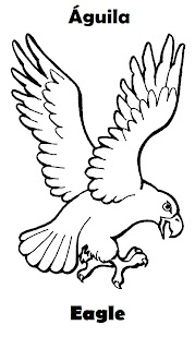 Animales Aereos en Ingles y Español | Imagenes para dibujar | Dibujos