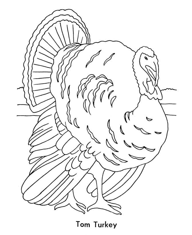 turkey coloring pages coloring.filminspector.com