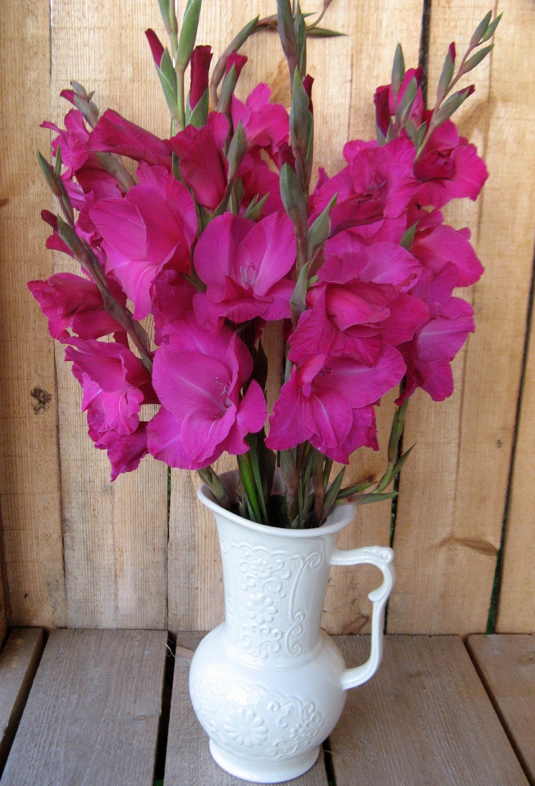 ant palangės: kardeliai