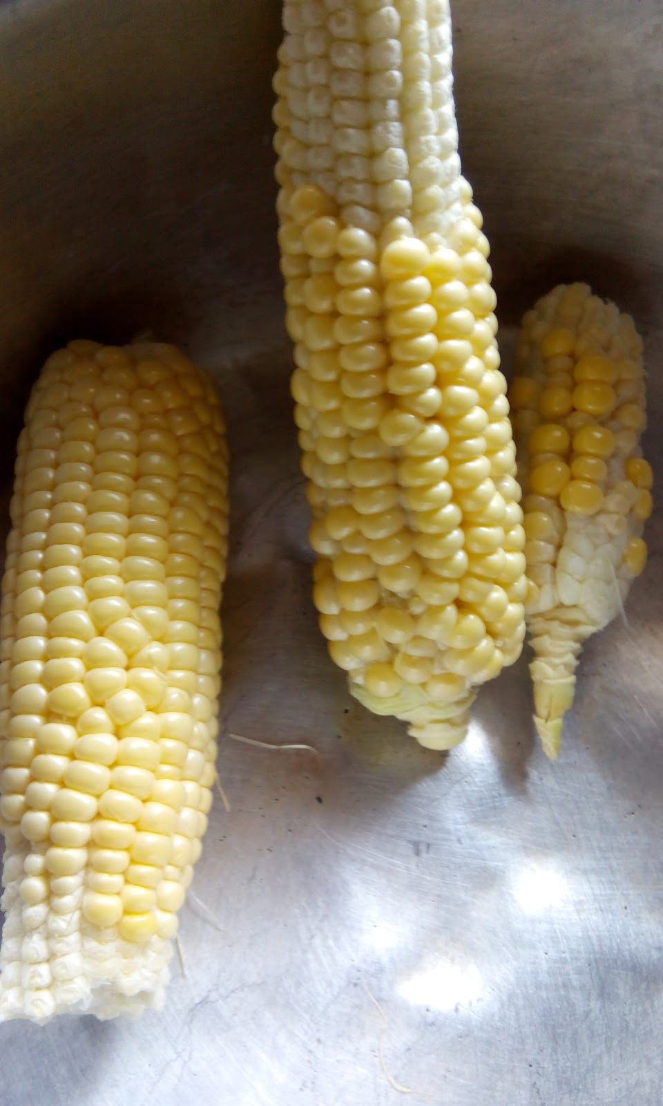 Belajar-Bertanam-tanaman: Buah kecil