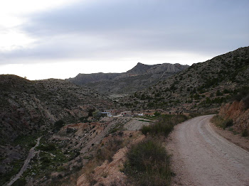 Sierra Camara
