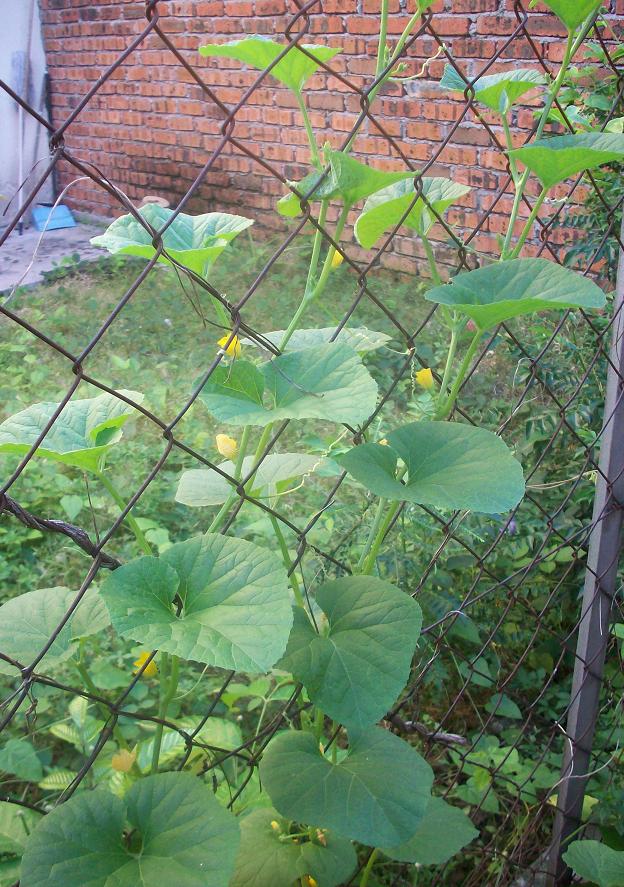 Semua Menjadi March 2013