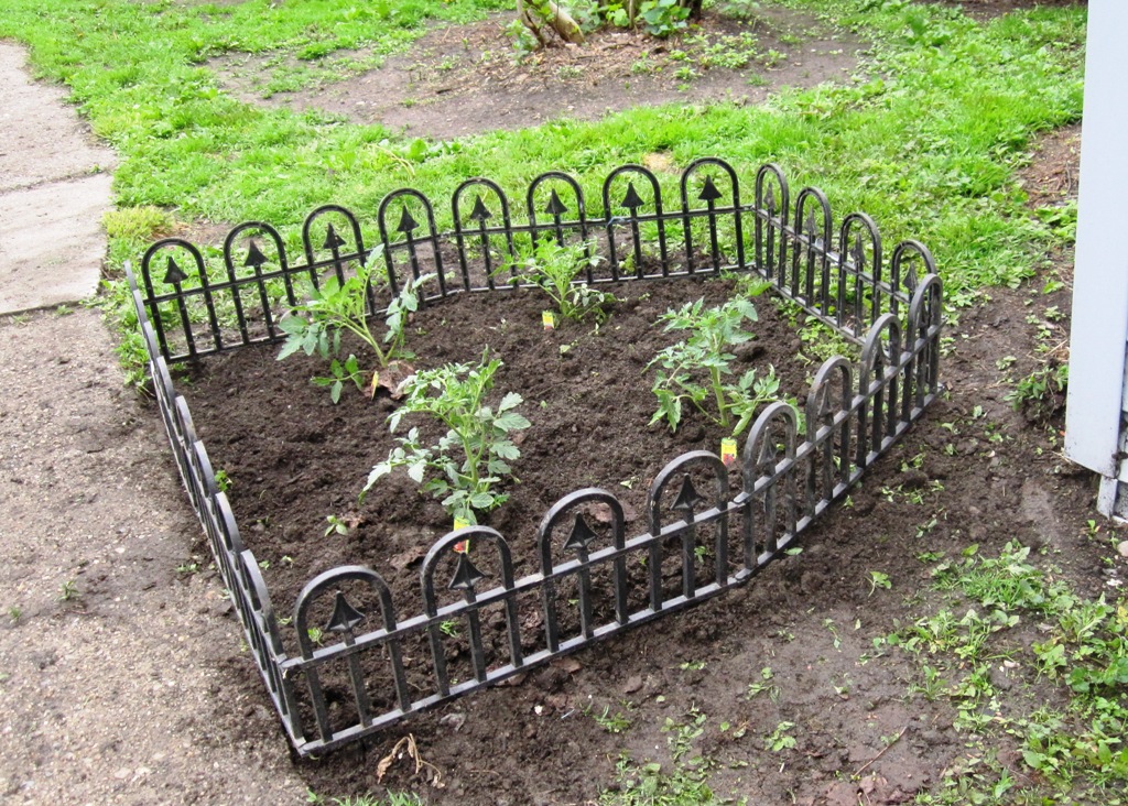 Windswept Adventure A Little Bit Of Back Yard Gardening It Won T Surprise You To Learn That The Dogs Find This Fenced Off Area With Lovely Aroma Of Cow Manure A Magnetic Attraction