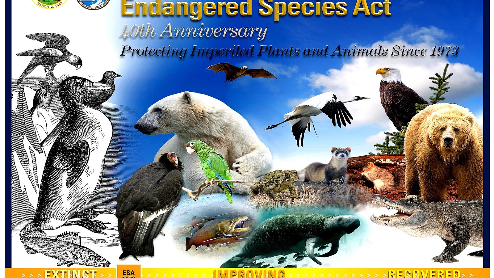 Indiana Bat Endangered Species - Danger Choices