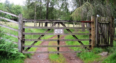 Gate on the forest path on Craig Vallich, Deeside walks