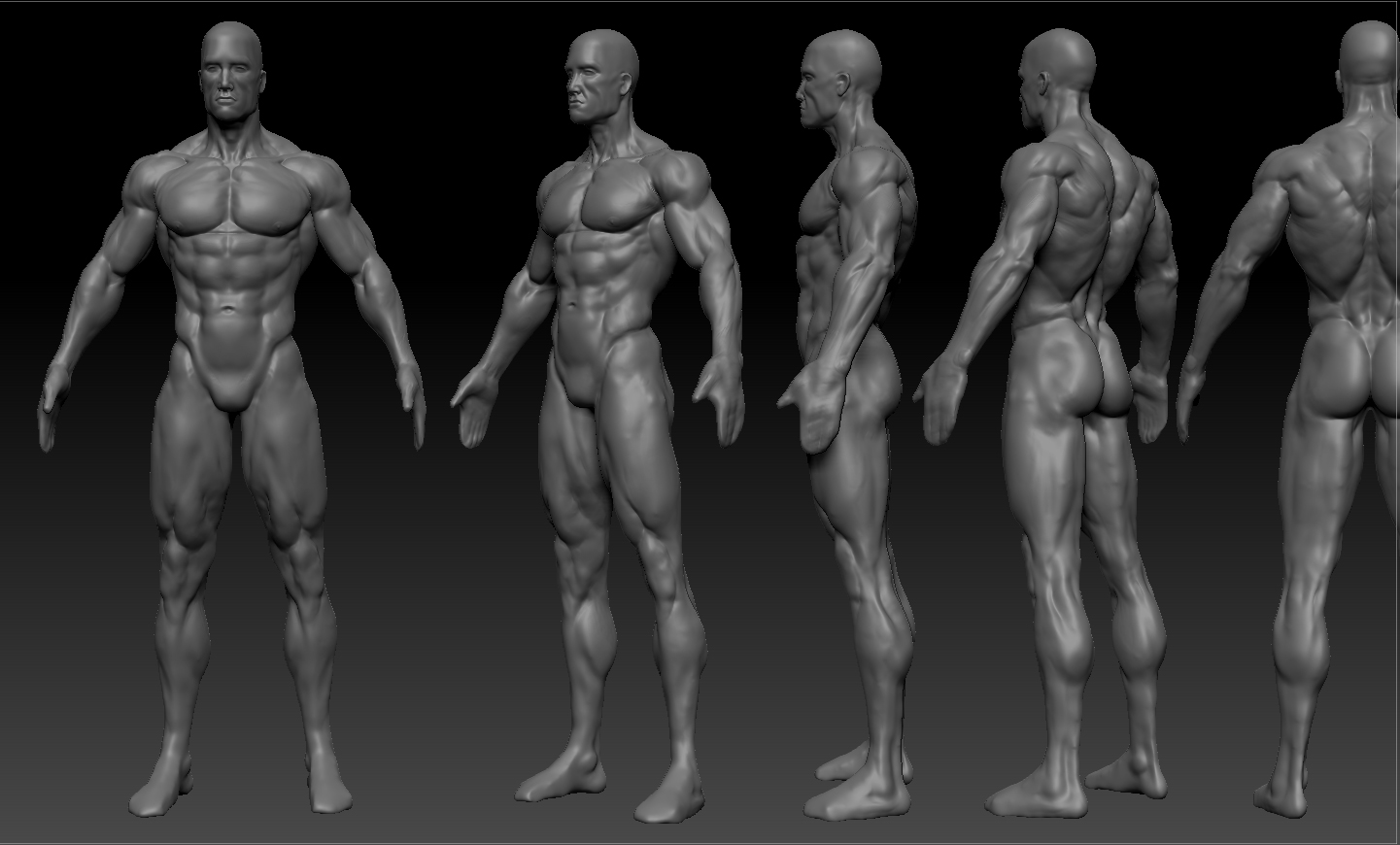 WIP 3. Tried to make the muscles balanced in strength, Looked closely at Ar...