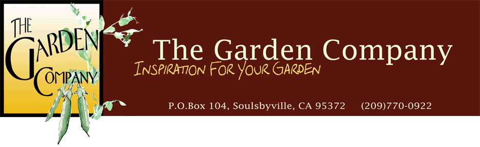 Gardening Where You Are-The Garden Company