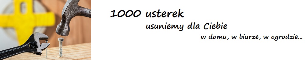 1000 usterek