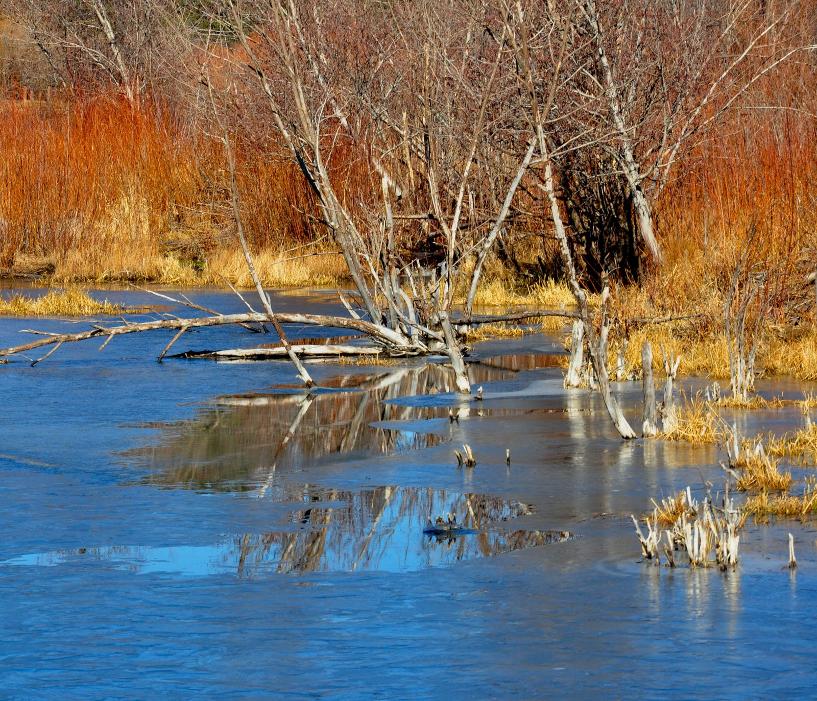 Creative Journey Back Country Photography