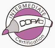 Copic certification