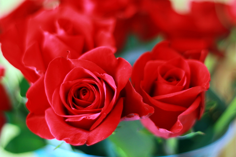 Red Red Red | A•Mused