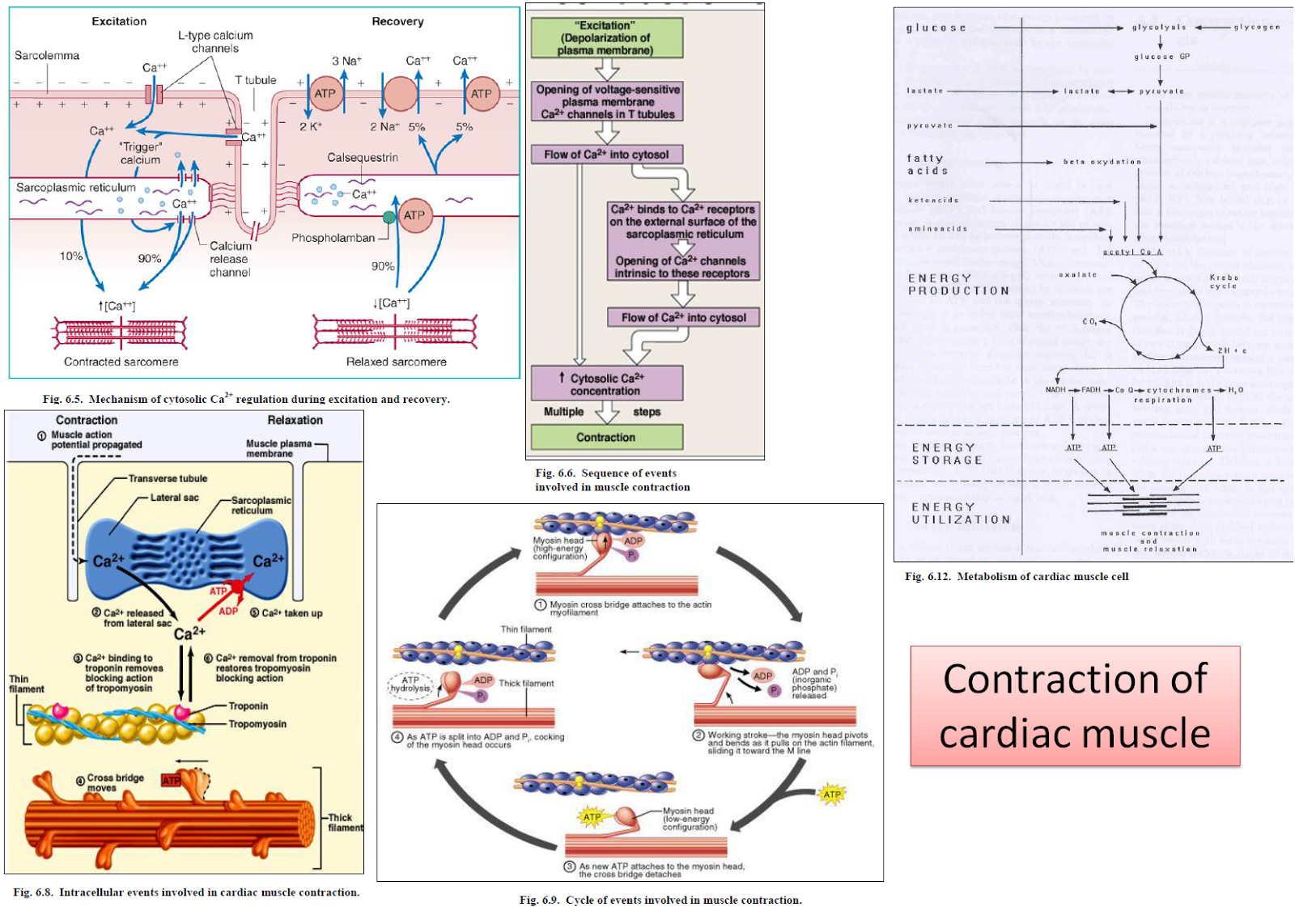 Medical Concept maps : March 2014