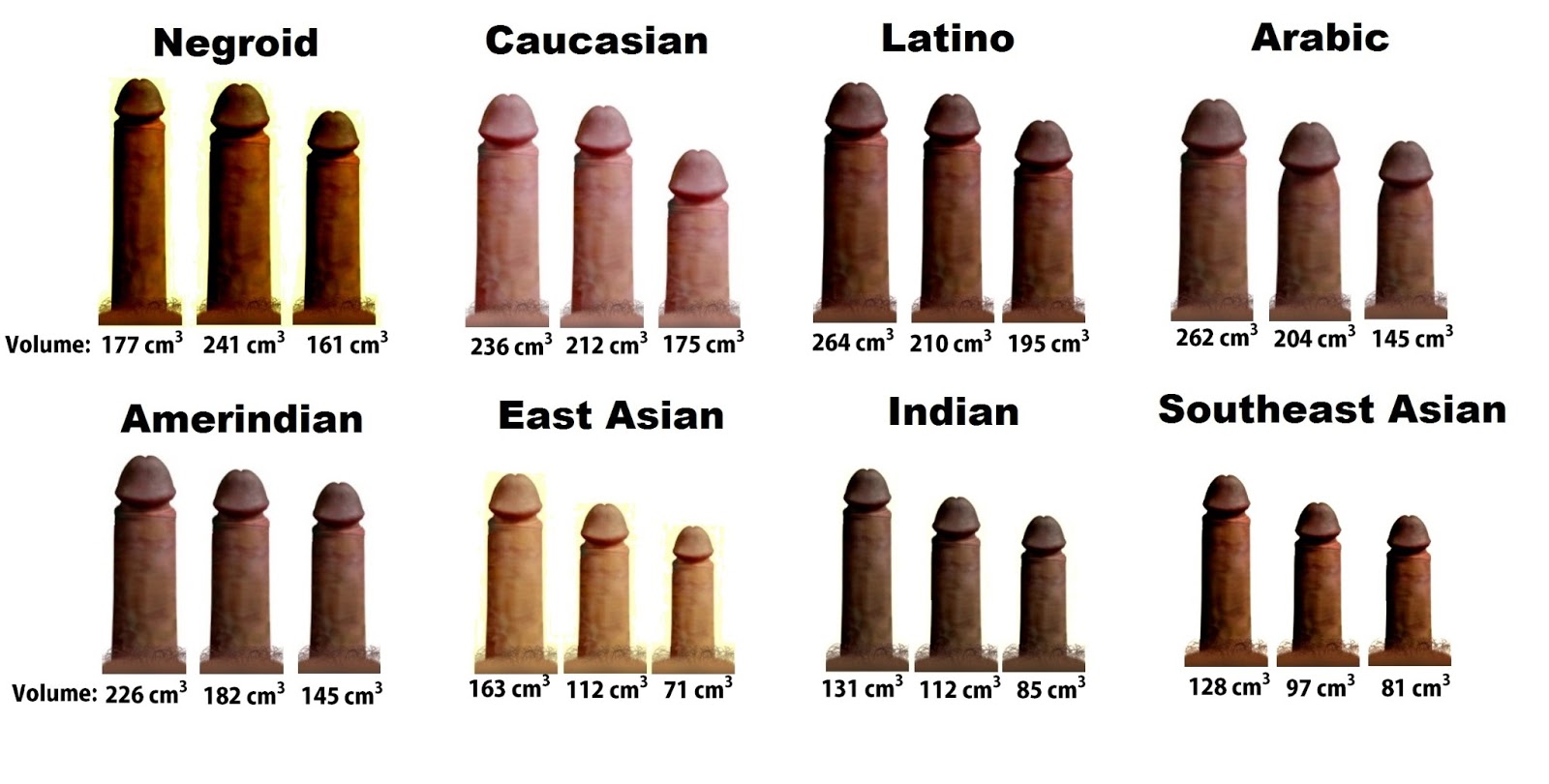 Asian dick size