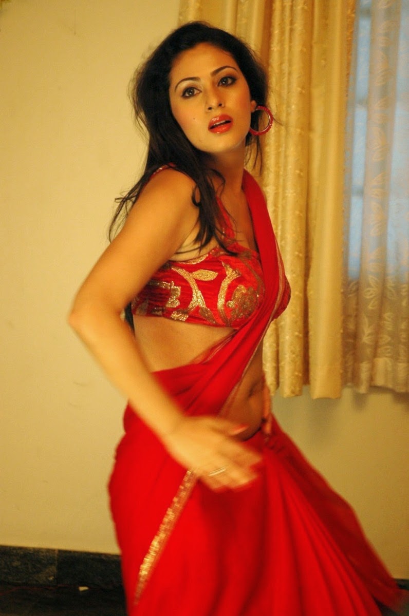 Hot Actress Sada Hot In Saree 