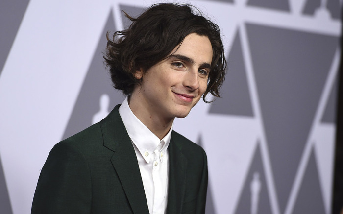 The Movie Sleuth News Call Me By Your Name Star Timothee