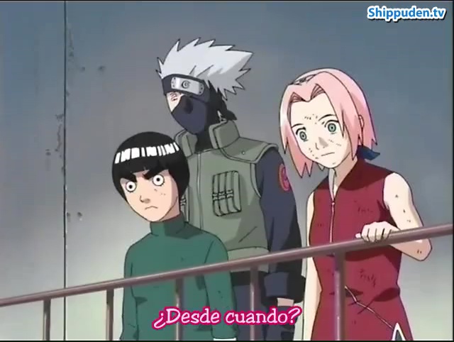 Ver Naruto Introduccion - Capítulo 45