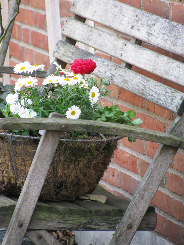 Freudentanz Frühling vorm Haus