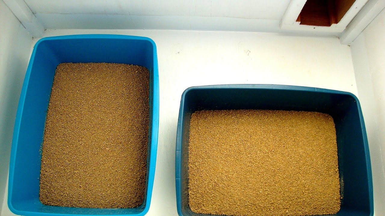 Mult box Multiple Boxes Box Choices