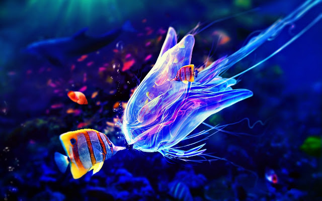 A fish and a jellyfish