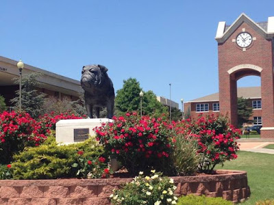 This is a statue of the mascot of Southwestern Oklahoma State University.