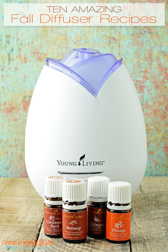Ten Amazing Fall Diffuser Recipes | Ten fabulous essential oil combinations that capture the essence of the season.