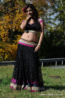 hot actress bollywood nave in saree, down blouse in saree