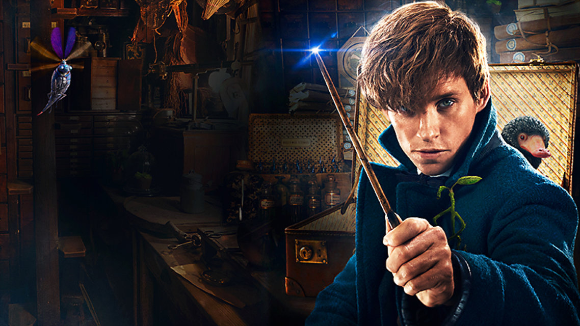 какая фантастическая тварь. ньют саламандер обои. фантастические твари и где они обитают. фантастические твари и где они обитают. какая фантастическая тварь.