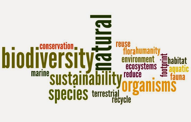 Ciencias Naturales: Living things II. Biodiversity.