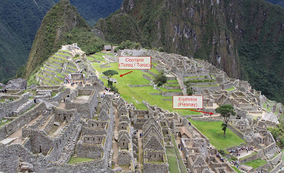 Image of Machu Picchu showing those two trees: Cecropia and Erythrinia.