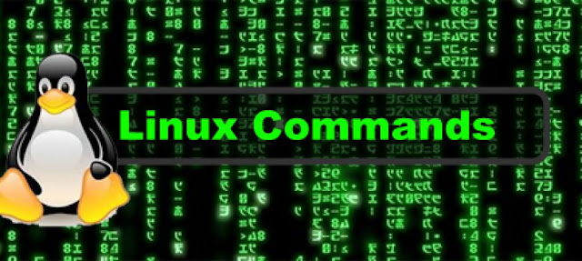 Date Command, Unix Command, Linux Command, LPI Study Materials, LPI Learning