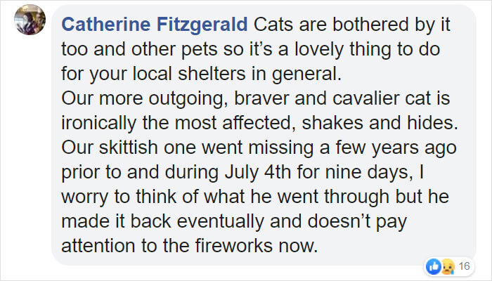People Skipped The Fireworks On July 4th To Comfort Frightened Shelter Dogs People Skipped The Fireworks On July 4th To Comfort Frightened Shelter Dogs