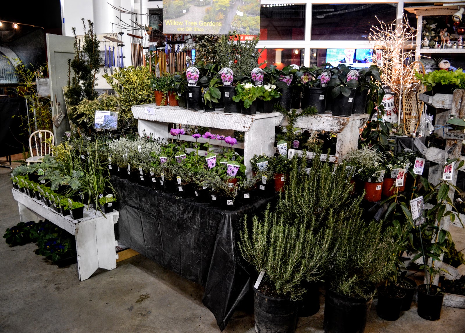 The Outlaw Gardener The Home and Garden Show The Plant