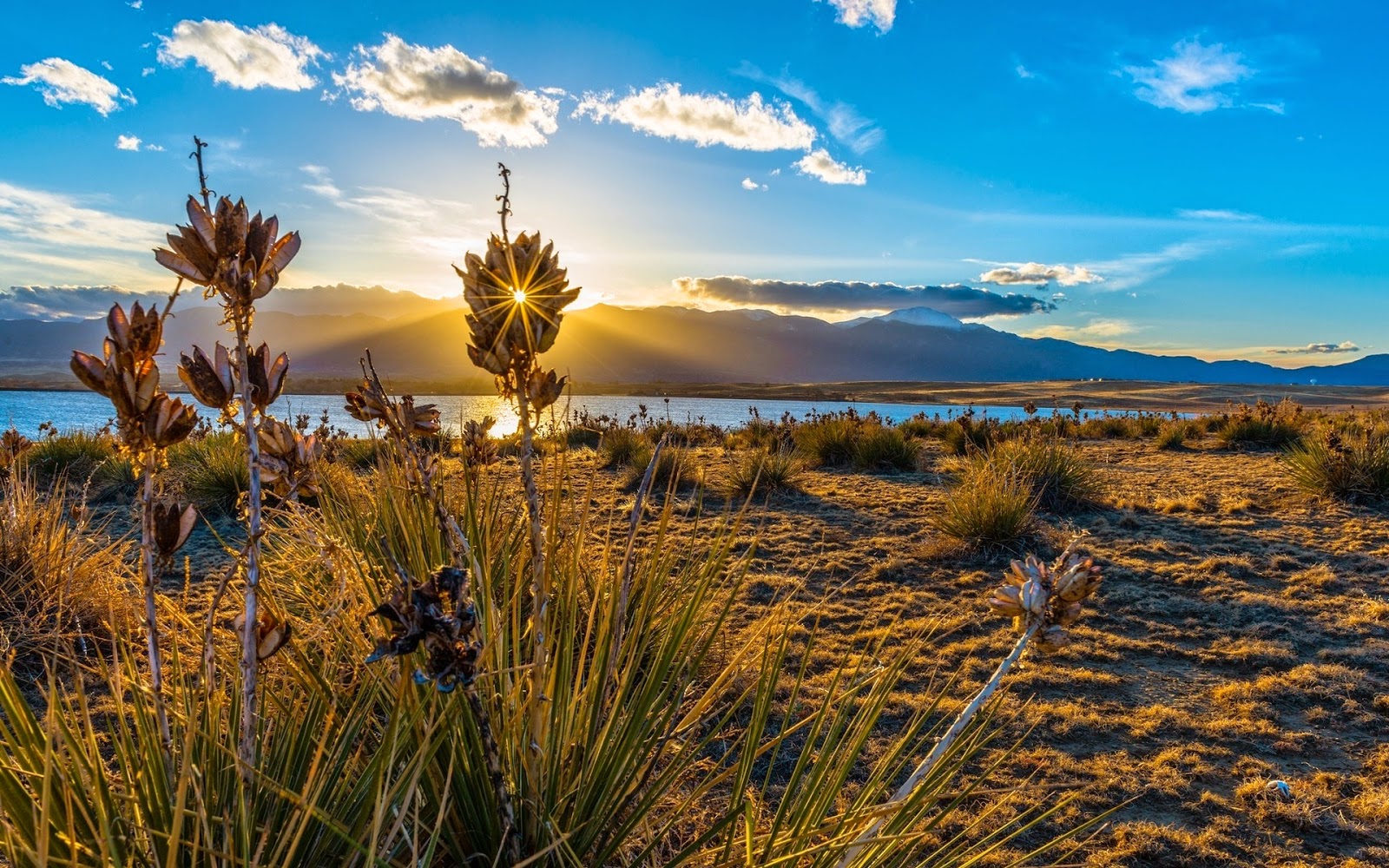 100% Desktop Quality HD Wallpapers 1080p Free Download: Top 28 Nature