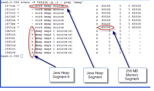 The above snapshots are clearly showing a total capacity of 7 Java Heap ...