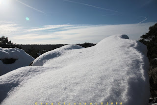 Gorges d'Apremont, Forêt de Fontainebleau, sous la neige 2018
