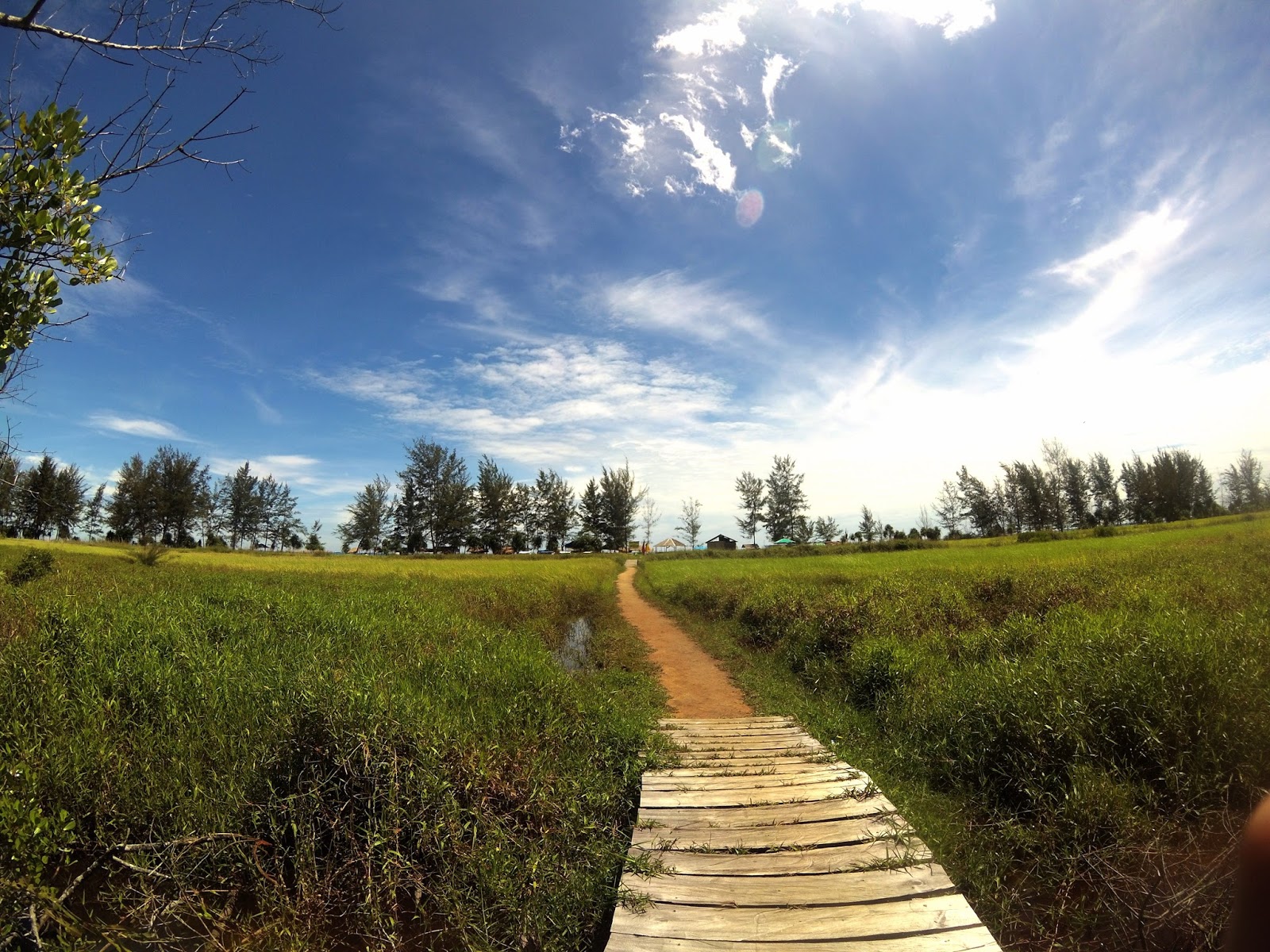 Was Ist Los Une 2016