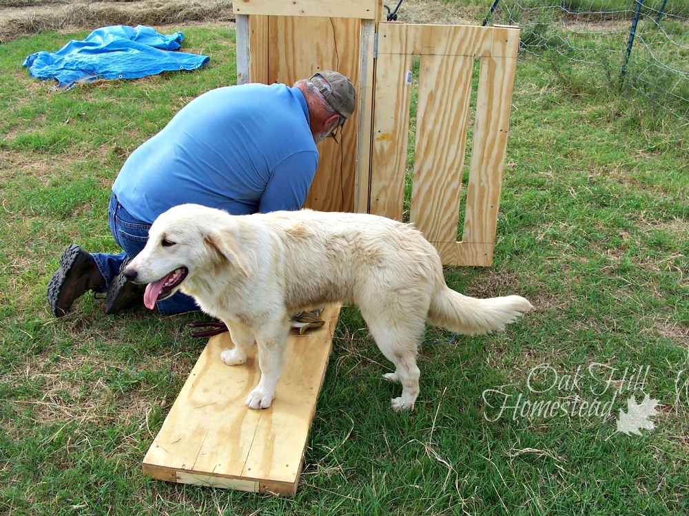 How We Bale Hay by Hand Oak Hill Homestead