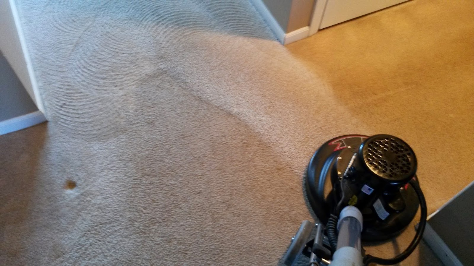Marlboro Carpet Cleaning in Marlboro NJ