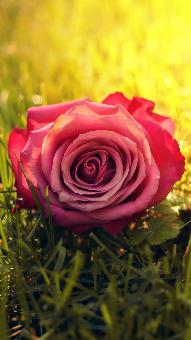 اجمل خلفيات موبايل في العالم Hd صور اندرويد 2020 منوعة