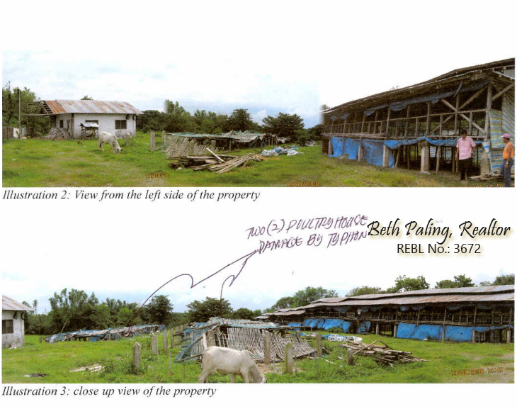 Pangasinan Properties For Sale Foreclosed Poultry in Malasiqui