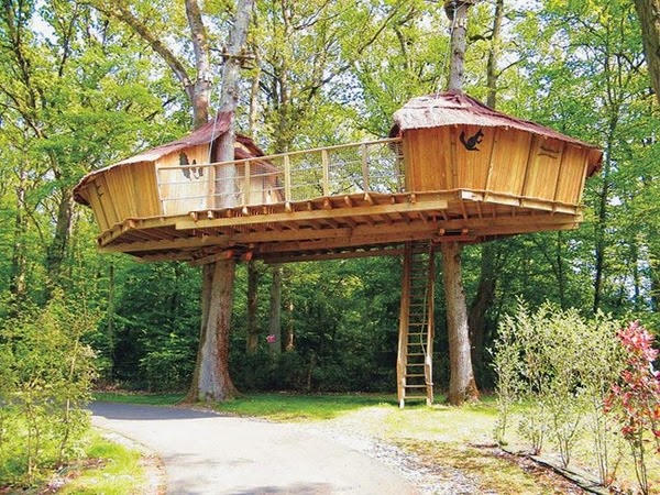 What not to miss in the tree house