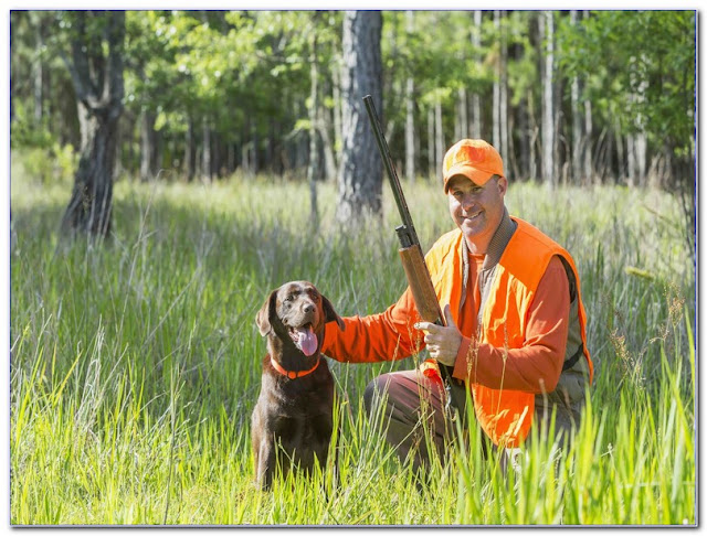 Best Hunter Safety COURSE Ohio ONLINE