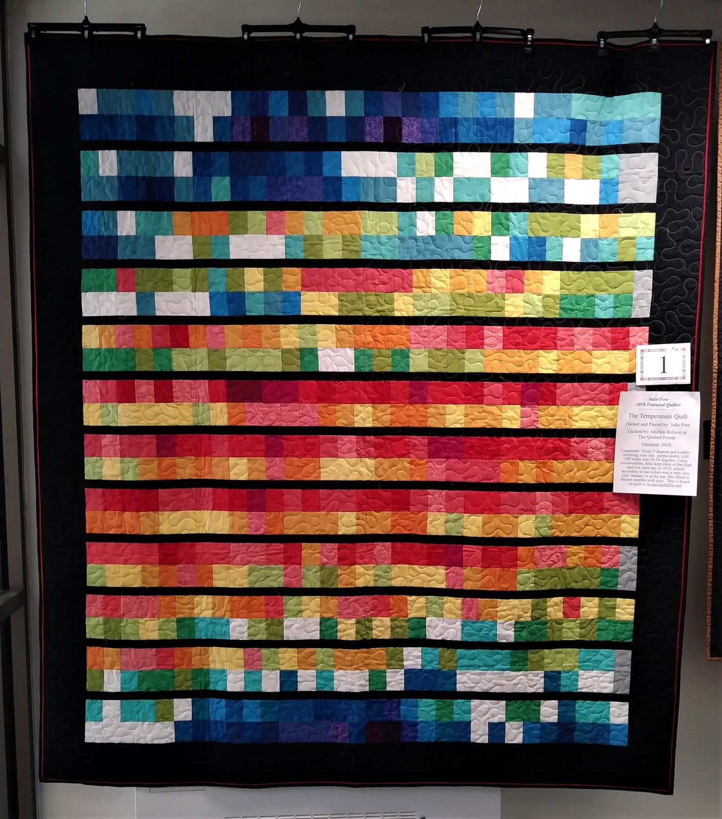 Giraffe Dreams Quilt Show in Blue Earth!